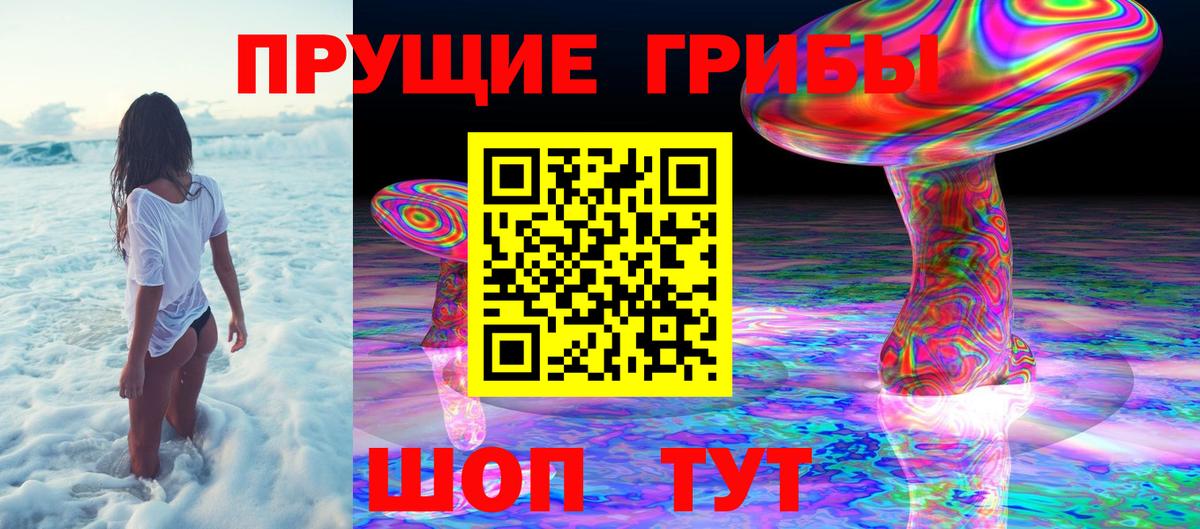 Псилоцибиновые грибы GOLDEN TEACHER Сальск