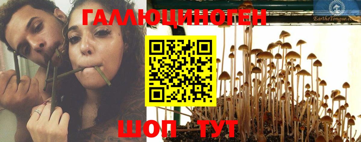 Псилоцибиновые грибы Psilocybine cubensis  Вход с VPN  Сальск 